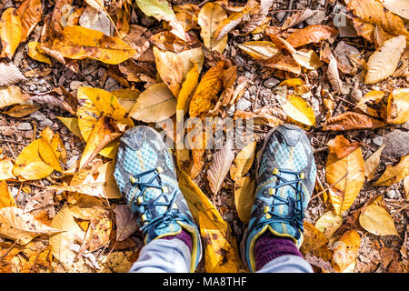Schuhe, gefallenen Herbst braun orange Golden viele Blätter auf dem Boden mit der Frau die Füße flach legen, Ansicht von oben nach unten in Harper's Ferry, West Virginia Stockfoto