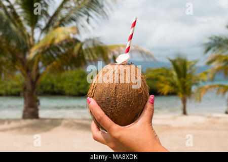 Weibliche Hand, die eine Kokosnuss mit Trinkhalm, Palme Hintergrund Stockfoto