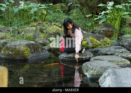 Junge Asiatin in einem japanischen Garten in der Nähe von einem Teich fischen Posing Stockfoto