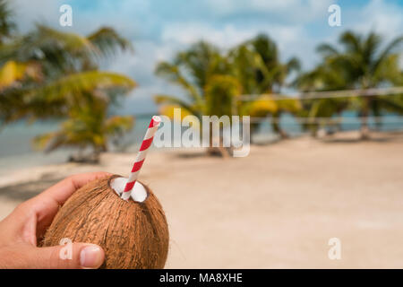 Männliche hand Kokosnuss mit Trinkhalm, Palme - Hintergrund Stockfoto