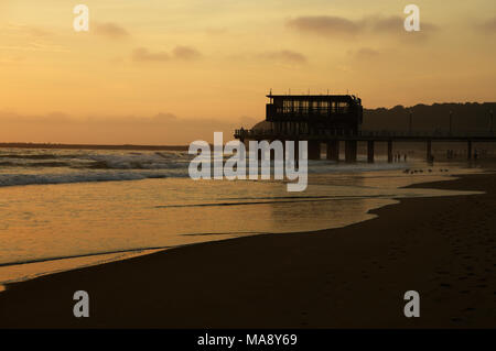 Durban, KwaZulu-Natal, Südafrika, Personen, die am frühen Morgen schwimmen im Meer, brechenden Wellen bei uShaka Pier auf der Stadt am Strand, Strand, Landschaft Stockfoto