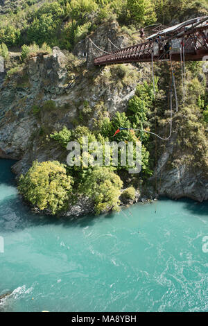 Bungy Jumping am berühmten AJ Hackett, Kawarau Brücke, Otago, Neuseeland Stockfoto