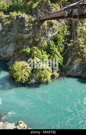 Bungy Jumping am berühmten AJ Hackett, Kawarau Brücke, Otago, Neuseeland Stockfoto