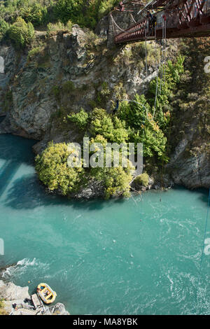 Bungy Jumping am berühmten AJ Hackett, Kawarau Brücke, Otago, Neuseeland Stockfoto