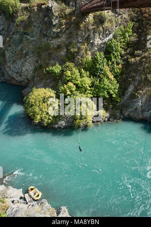 Bungy Jumping am berühmten AJ Hackett, Kawarau Brücke, Otago, Neuseeland Stockfoto