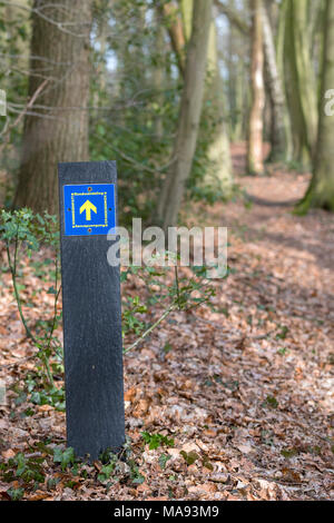 Wandern Route bezeichnet Komiezenpad in der Nähe des Dorfes Winterswijk an der Grenze von den Niederlanden und Deutschland. Die komiezenpaden wurden in der Vergangenheit verwendet Stockfoto