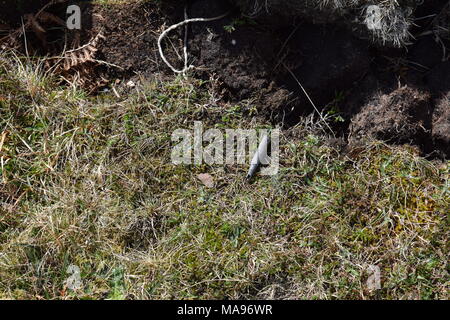 "Ww2 See Defense Batterie'' Cove in der Nähe von aultbea Ross und Cromarty Schottische Highlands gairloch tournaig ''''Loch Ewe". Stockfoto