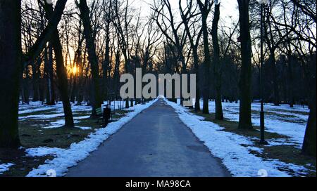 Schnee in der City Park, schneebedeckten Straßen. Winter im Schnee Stockfoto