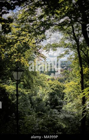 Ein hohes Ansehen durch Sommer Wald auf den entfernten Gebäuden des Hl. Kreuz in Winchester, Hampshire, England Stockfoto