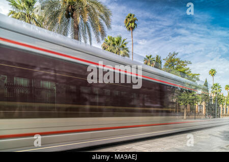 Straßenbahn auf San Fernando Straße, Sevilla, Spaim Stockfoto