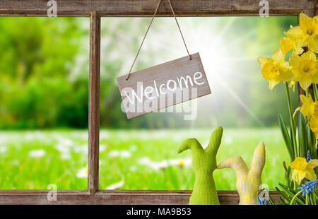 Mit englischem Text Willkommen Anmelden. Fenster mit Blick auf den schönen, sonnigen, grünen Wiese. Osterhase und Narziss Vor Stockfoto