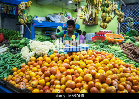 Ein Inder verkauft Gemüse und Früchte in seiner Straße Shop. Frische Tomaten im Vordergrund. Indien Goa. 12. Januar 2018 Stockfoto