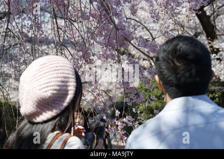 Tokio, Japan. 30 Mär, 2018. Menschen gehen unter Kirschblüten in voller Blüte an chidorigafuchi Park. Die Leute genossen die Kirschblüten in voller Blüte, die Saison offiziell in Tokio am 17. März, neun Tage zuvor in diesem Jahr dank schönem Wetter begonnen. Credit: Rodrigo Reyes Marin/über ZUMA ZUMA Kabel/Kabel/Alamy leben Nachrichten Stockfoto