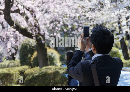 Tokio, Japan. 30 Mär, 2018. Ein Mann nimmt ein Foto von Kirschblüten in voller Blüte an chidorigafuchi Park. Die Leute genossen die Kirschblüten in voller Blüte, die Saison offiziell in Tokio am 17. März, neun Tage zuvor in diesem Jahr dank schönem Wetter begonnen. Credit: Rodrigo Reyes Marin/über ZUMA ZUMA Kabel/Kabel/Alamy leben Nachrichten Stockfoto