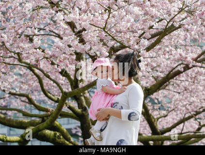 Vancouver, Kanada. 30 Mär, 2018. Eine Frau küsst ein Baby unter Kirschblüten in Vancouver, Kanada, 30. März 2018. Credit: Liang Sen/Xinhua/Alamy leben Nachrichten Stockfoto