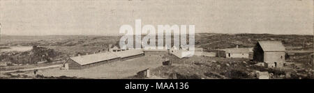 . Die östliche poultryman. Stockfoto