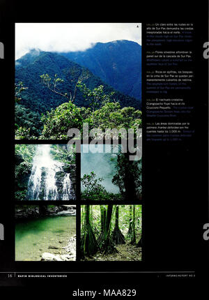 . Ecuador: Serranías Cofán-Bermejo, Sinangoe. Stockfoto