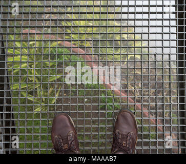 Skywalk und Blick auf Cabo Girao Steilklippe in Madiera Stockfoto