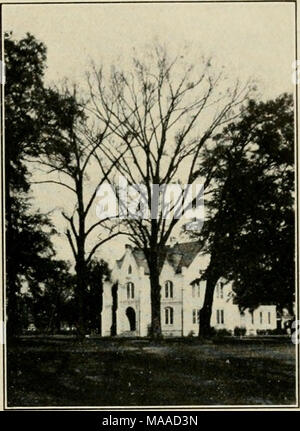 . Ökonomische Botanik von Alabama. 38 39 Abb. 38. Oucrciis Phcllos (Mitte) und Qucrcus laiirifolia. am Univer-sity Campus, die zeigen, wie die laubbaum zu sein scheint, drücken die immer grüne beiseite; ein gemeinsames Auftreten bei der immergrünen und laubabwerfenden Bäumen wachsen zusammen zu schließen. März 10, 1906. (Diese Bäume muss vor dem Bürgerkrieg gepflanzt haben.) Siehe Harper 6 im Literaturverzeichnis. Abb. 39. Gleich zwei Bäume wie in der vorangegangenen Abbildung, fast 22 Jahre später. 11. Januar 1928. Dieses ist ein wenig näher als der andere, das Wachstum der anderen Schatten - Bäume im Intervall, das es unmöglich macht, eine Zufriedenheit zu erhalten Stockfoto