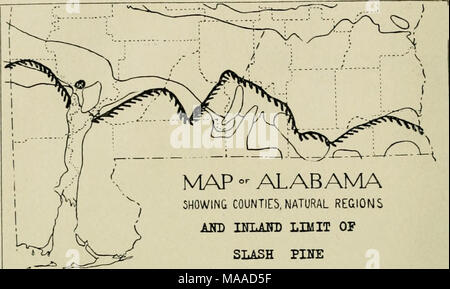 . Ökonomische Botanik von Alabama. Übersicht Grafschaften, NATÜRLICHEN REGIONEN AKD HTLAITD BEGRENZUNG DER SLASH PINE R M K 1326 Karte 7. Der Grenzwert von I^iiius lilliotlii. Pinus Taeda, L.-vShort pimv lKaI'. (Loblolly oder alte Feld Kiefer der Haken.) (Abbn. 5. 6) Dieses der größte unserer Kiefern ist bei vollständig devel () i) Ed, occas - ionally erreichen einen Durchmesser von vier Metern, mit der niedrigsten Gliedmaßen oO Fuß über dem Boden und einer Höhe von 100 Meter oder mehr; aber natürlich nur wenige solche Exemplare entronnen, der Holzfäller. Er blüht im März und April und ich) roduces viel Samen jedes Jahr. Das Holz ist schlechter zu Stockfoto