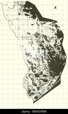 . Die Ökologie der delta Sümpfe des Coastal Louisiana: eine Gemeinschaft Profil. Stockfoto