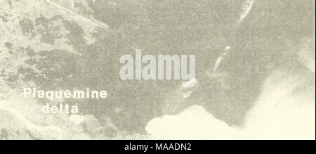 . Die Ökologie der delta Sümpfe des Coastal Louisiana: eine Gemeinschaft Profil. Stockfoto