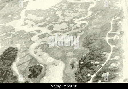 . Ökologie der Buzzards Bay: ein Ästuar- Profil. Abb. 4.7. Luftaufnahme des großen Sippewissett Salzwiesen, West Falmouth, Massachusetts. Foto von B. Howes Wareham. Entlang der Westport Fluss, und der Priester Cove und West Island in Fairhaven. Westport hat den größten Bereich der Salzwiesen in der Buzzards Bay System, vor allem wegen der Anwesenheit der Westport River. Im Gegensatz, New Bedford hat der kleinste Bereich sowohl durch die physische Struktur des Hafen sowie durch groß angelegte Entwicklung in den vergangenen Jahren verursacht hat. Diese Gezeiten Feuchtgebiete innerhalb der Bucht system sind typisch für Ne Stockfoto