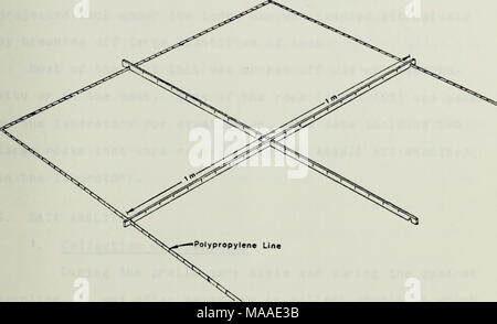 . Die Ökologie der benthischen und endolithic Gemeinschaften von einem felsigen Riff in der Kelp Betten aus Del Monte Beach, Monterey, Kalifornien. . Abbildung 9. Funktionsweise der Quadrat Cross-Bar 37 Stockfoto