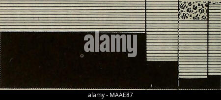 . Die Ökologie der arboreal folivores: ein Symposium an der Erhaltung und Research Center, National Zoological Park, Smithsonian Institution, Mai 29-31, 1975. FEED QUAD KLETTERN Stockfoto