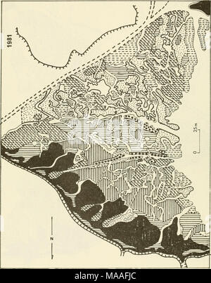 . Ökologische Studie der Amoco Cadiz Ölpest: Bericht des NOAA-CNEXO Gemeinsame wissenschaftliche Kommission. Abbildung 5. Marais 6-Etat en 1981 (Legende dans le texte) 342 Stockfoto
