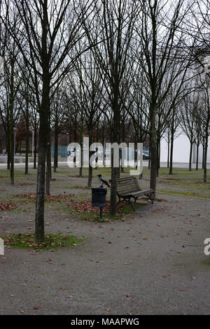 Ein Rabe sitzt auf einem Mülleimer neben einer Parkbank und Sucht nach Essen. Stockfoto