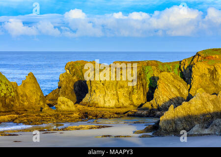 Küste von Oregon Stockfoto