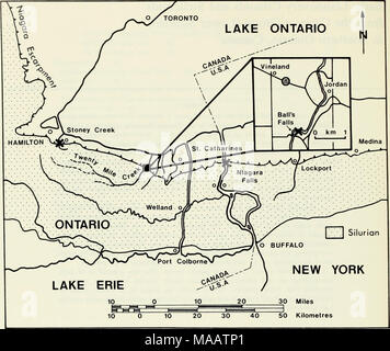 . Frühe Llandovery crinoiden und stelleroids aus der Katarakt Gruppe (untere Silur) im südlichen Ontario, Kanada. Text-Bild. 1 Lokalität Karte der südwestlichen Ontario und westlichen Staat New York Übersicht vorkommen (x) Der stachelhäuter in der Star Gruppe. 12 Mile Creek. Brower (1966) beschriebenen Calceocri-nus pustulosus vom Manitoulin Bildung im Stoney Creek. Brett (1978 a) beschriebenen Ptychocrinus medinensis vom unteren Medina Gruppe in der Niagara Schlucht in der Nähe von Lewiston im Staat New York. Materialien und Methoden einen kompletten Abschnitt der Cabot Leiter Bildung ist in der Schlucht unten th ausgesetzt Stockfoto