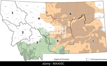 . Bewirtschaftung und Erhaltung Strategien für Sage grouse in Montana - Endrunde. - "Tierwelt (j £ Ston^ - ich Sagebrush Ökotypen ^J FWP RegioFval Grenzen, Wyoming Big Sagtrb-ush-Siiver sackt - Pinsel | Mountain Foolhiiis gemischt Sigetrush sackt Grouse Habital Bezirksgrenzen. Abbildung 1-1. Verteilung der Sage grouse Lebensraum und sagebrush Ökotypen in Montana. Karte von FWP Information Services zur Verfügung. Abb. 1-1 umfasst Sage grouse Verteilung von Informationen aus MFWP und BLM auf wild lebende Tiere spezialisierte Biologen auf unterschiedlichen Skalen digitalisiert. Alle anderen Daten, die Schichten von der natürlichen Ressource Information System erhalten. Tabl Stockfoto