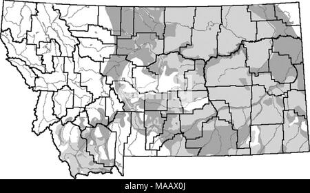 . Bewirtschaftung und Erhaltung Strategien für Sage grouse in Montana - Endrunde. Aktuelle Sage grouse Verteilung historische Sage grouse Verteilung Grafschaft Strom Abbildung III-l. Aktuelle und historische Verteilung der Sage grouse in Montana. Karte von MFWP Information Services zur Verfügung. Zucht Wallestad (1975) gefunden strutting Gründen oder "Leks", wo tatsächlich Zucht auftritt, Schlüsselbereiche in Überwinterung - Nesting Komplexe zu werden. Leks Häufig bestehen aus Rodungen von sagebrush Abdeckung umgeben. Solche Bereiche können umfassen natürliche Lichtungen, alte brennt, oder Boden durch homeste gelöscht Stockfoto