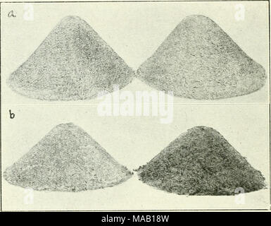 . Trockene Landwirtschaft im Westen Kanadas. Abb. 26.-Bakterien in Bezug auf Erde bauen. i, i) zwei Stapel der reinen, weißen Sand, (b) der Haufen von Sand auf der linken Seite, an dem vier Kulturen von uninoculated Leguminosen angebaut werden und, dem nichts hinzugefügt worden ist immer noch weiss unfruchtbaren Sand. Die Stapel auf dem Recht, auf denen vier Kulturen von Leguminosen und Leguminosen Bakterien erzeugt worden sind, und zu denen sonst nichts hinzugefügt worden ist auf dem besten Weg, ein fruchtbarer Boden, der durch seine dunkle Farbe dargestellt. Tonne Klee unter für die Zwecke der Boden drehte sich en-richment stellt einen Gewinn auf dem Boden der vierzig Pfund nitr werden Stockfoto