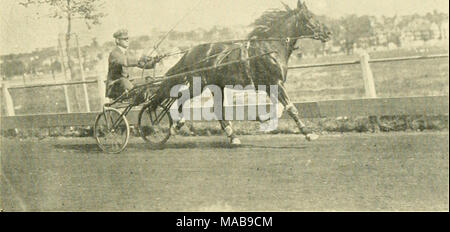 . Die treibende Vereine der Großraum Boston. RALPH BINGEN (von Teddy Bingen), 2:15 1-4 Dam Dot, die von brasilianischen, 2:22 3-4 Stockfoto