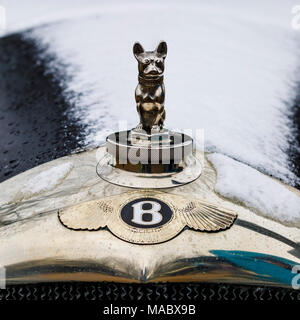 Der Bentley Motorhaube Motiv und Abzeichen an der Vorderseite eines schneebedeckten Haube. Goodwood 76th Mitgliederversammlung, Sussex, UK. Stockfoto