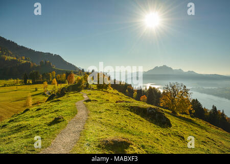 Erstaunlich herbst Wanderung auf der Seebodenalp. Blick auf die Alpen, Pilatus und Vierwaldstättersee wie nie zuvor. Stockfoto