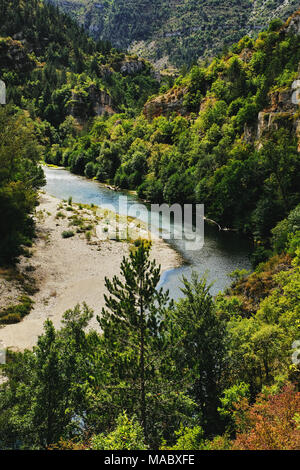 Die Gorges du Tarn ist eine Schlucht von Tarn zwischen den Causse Méjean und dem Causse de Sauveterre, in Südfrankreich. Stockfoto