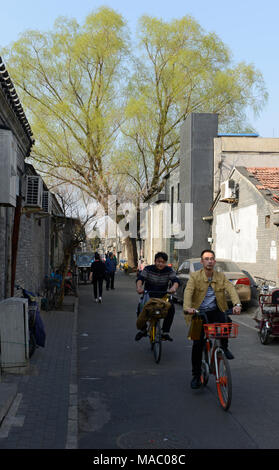 Radfahrer fahren entlang einer Hutong Gasse in der Nähe von Houhai in North Central Beijing Stockfoto