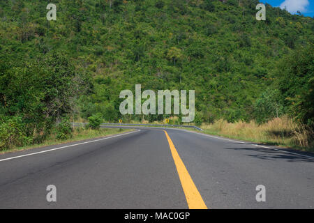 Land Straße mit Bäumen neben im ländlichen Bereich. Natur und Grün. Stockfoto
