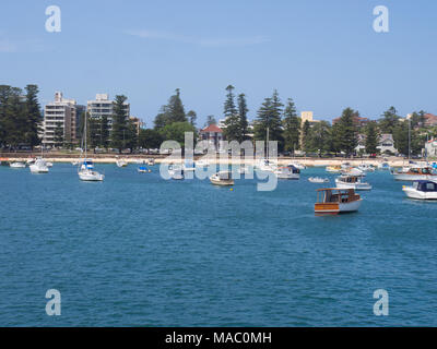 Segel Boote an der Manly Stockfoto