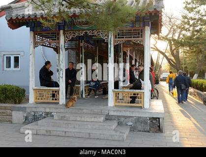 Einheimische chatten und spielen die Kinder unter einer Pergola in der Nähe von andingmen im zentralen Norden von Peking, China, wie die Sonne bereitet sich auf einen frühen Frühling Tag einstellen. Stockfoto