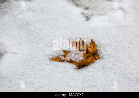 Winter im Yosemite National Park, Kalifornien, USA Stockfoto