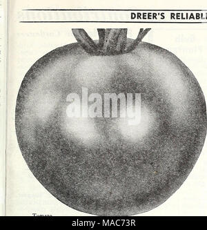 . Dreer die Neuheiten und Spezialitäten für 1948: drei hervorragende Zinnien für jeden Garten. DREER die zuverlässigen pflanzlichen Samen Tomate Marglobe 921 Tomate Marglobe - "A" 75 Tage. Eine herrliche, zweiten frühen Tomate mit großen, glatten, fleischig, kugelförmigen rote Früchte reifen, die gleichmäßig und frei von Rissen. Eine extrem schwere Cropper und Re-markably Krankheit resistent. Ich kt. 10 c; J 2 oz. 3 Sc; Oz. 6 Sc, 4 lb. ist 2.35. 938 Tomate - Penn State Earliana 64 Tage. Ein Standard extra früh Tomaten mit kurzen dicken Weinreben in der Nähe Pflanzen zulassen. Produziert mittelgroße, Scharlachrot Früchte in Gruppen von 4 bis 6. Stockfoto