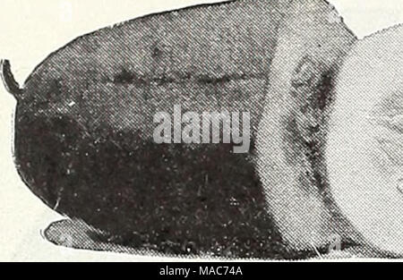 . Dreer die Neuheiten und Spezialitäten für 1948: drei hervorragende Zinnien für jeden Garten. Gurke, Clarks Speci il Wenn 365 Gurke - Clark's Special 62 Tage. Schöne dunkelgrüne Früchte Q Messung bis 10 cm in der Länge und shghtly verjüngt sich an beiden Enden. Hat schöne, weisse, klare, festes Fleisch und enthält sehr wenige Samen. Pkt. 10 c; Oz. 25 c;] ich Lb. SOc; lb. $ 2.75. 404 Auberginen - Black Beauty 80 Tage. Schöne reiche violett-schwarze Früchte, die nicht nur sehr attraktiv, sondern auch von bester Qualität. Die Pflanzen sind kräftig und eine Fülle von großen Früchte produzieren. Pkt. ISc; y. oz. S5c; Oz. 95 c; H Stockfoto