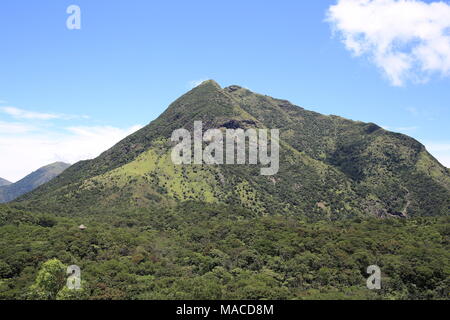 Der Gipfel der Insel Lantau bei schönem Wetter im Sommer Stockfoto