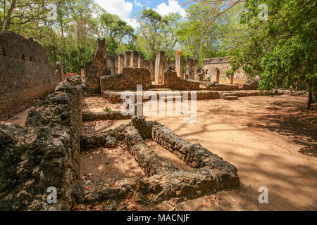 Die Ruinen der alten afrikanischen Stadt Gede (GEDI) in Watamu, Kenia mit Bäumen und Himmel im Hintergrund. Stockfoto