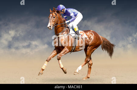 Jokey auf ein reinrassiges Pferd blau schließt läuft auf schwarzem Hintergrund Stockfoto